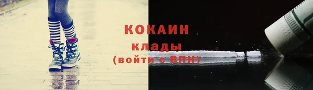 стаф Навашино