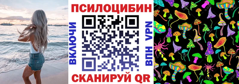 ссылка на мегу рабочий сайт  Куртамыш  Галлюциногенные грибы прущие грибы 
