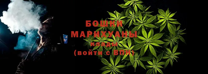 хочу   Куртамыш  Шишки марихуана ГИДРОПОН 